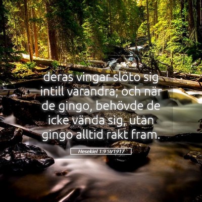 Picture 05 - Hesekiel 1:9 SV1917 - deras vingar slöto sig intill varandra; och när - Bible Verse Picture