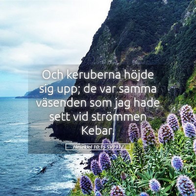 Picture 05 - Hesekiel 10:15 SV1917 - Och keruberna höjde sig upp; de var samma - Bible Verse Picture