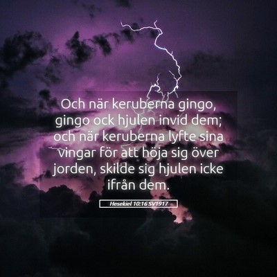 Picture 05 - Hesekiel 10:16 SV1917 - Och när keruberna gingo, gingo ock hjulen invid - Bible Verse Picture