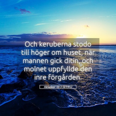Picture 05 - Hesekiel 10:3 SV1917 - Och keruberna stodo till höger om huset, när - Bible Verse Picture