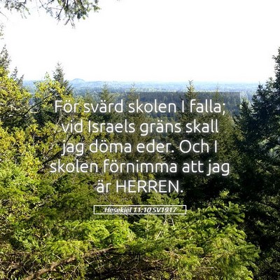 Picture 05 - Hesekiel 11:10 SV1917 - För svärd skolen I falla; vid Israels gräns - Bible Verse Picture