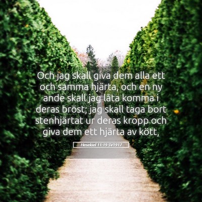 Picture 05 - Hesekiel 11:19 SV1917 - Och jag skall giva dem alla ett och samma - Bible Verse Picture