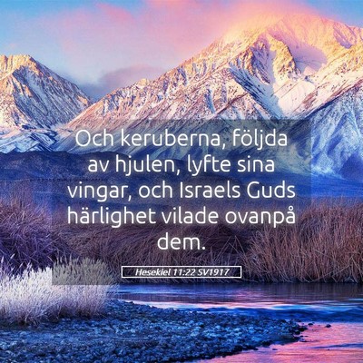 Picture 05 - Hesekiel 11:22 SV1917 - Och keruberna, följda av hjulen, lyfte sina - Bible Verse Picture