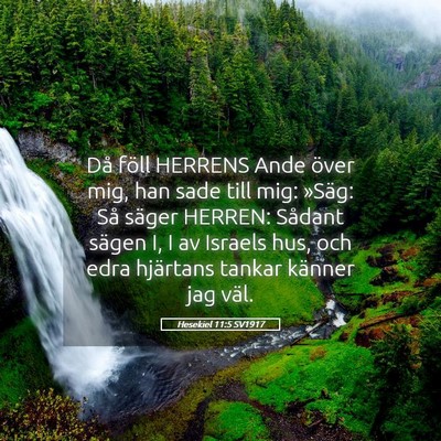 Picture 05 - Hesekiel 11:5 SV1917 - Då föll HERRENS Ande över mig, han sade till - Bible Verse Picture