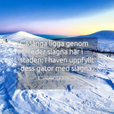 Picture 05 - Hesekiel 11:6 SV1917 - Många ligga genom eder slagna här i staden; I - Bible Verse Picture