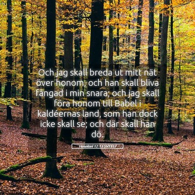 Picture 05 - Hesekiel 12:13 SV1917 - Och jag skall breda ut mitt nät över honom, och - Bible Verse Picture