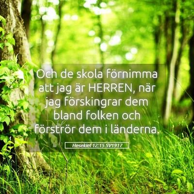 Picture 05 - Hesekiel 12:15 SV1917 - Och de skola förnimma att jag är HERREN, när - Bible Verse Picture