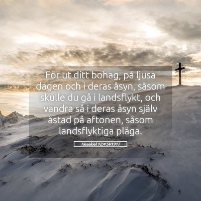 Picture 05 - Hesekiel 12:4 SV1917 - För ut ditt bohag, på ljusa dagen och i deras - Bible Verse Picture