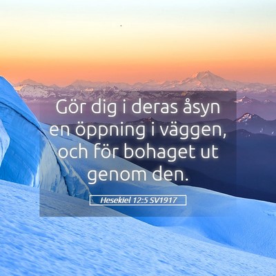 Picture 05 - Hesekiel 12:5 SV1917 - Gör dig i deras åsyn en öppning i väggen, och - Bible Verse Picture