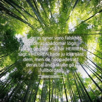 Picture 05 - Hesekiel 13:6 SV1917 - Nej, deras syner voro falskhet och deras - Bible Verse Picture