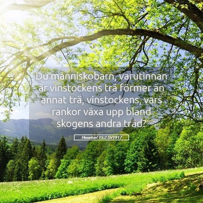 Picture 05 - Hesekiel 15:2 SV1917 - Du människobarn, varutinnan är vinstockens trä - Bible Verse Picture