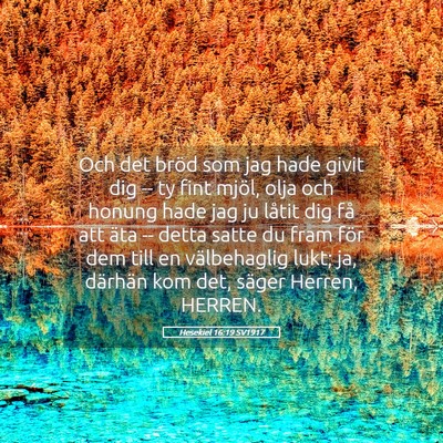 Picture 05 - Hesekiel 16:19 SV1917 - Och det bröd som jag hade givit dig -- ty fint - Bible Verse Picture