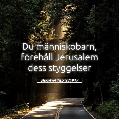 Picture 05 - Hesekiel 16:2 SV1917 - Du människobarn, förehåll Jerusalem dess - Bible Verse Picture