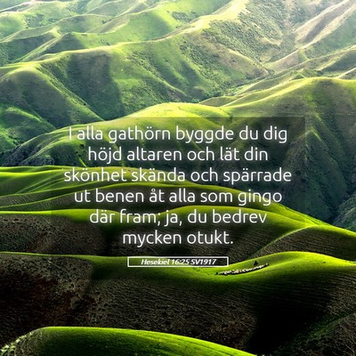 Picture 05 - Hesekiel 16:25 SV1917 - I alla gathörn byggde du dig höjd altaren och - Bible Verse Picture