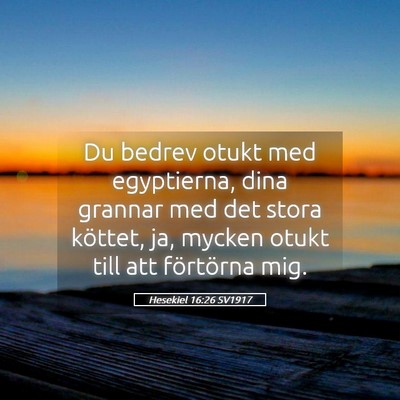 Picture 05 - Hesekiel 16:26 SV1917 - Du bedrev otukt med egyptierna, dina grannar med - Bible Verse Picture