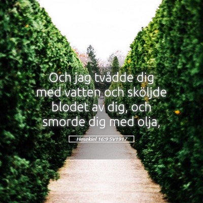 Picture 05 - Hesekiel 16:9 SV1917 - Och jag tvådde dig med vatten och sköljde - Bible Verse Picture