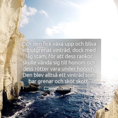 Picture 05 - Hesekiel 17:6 SV1917 - Och den fick växa upp och bliva ett utgrenat - Bible Verse Picture