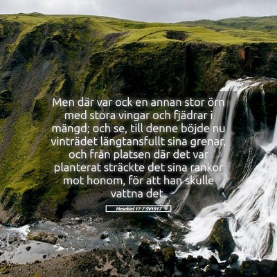 Picture 05 - Hesekiel 17:7 SV1917 - Men där var ock en annan stor örn med stora - Bible Verse Picture