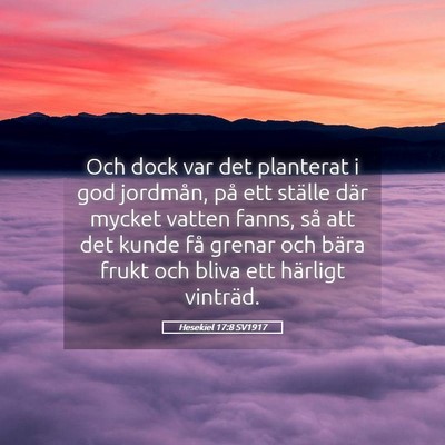 Picture 05 - Hesekiel 17:8 SV1917 - Och dock var det planterat i god jordmån, på - Bible Verse Picture