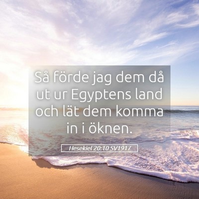 Picture 05 - Hesekiel 20:10 SV1917 - Så förde jag dem då ut ur Egyptens land och - Bible Verse Picture