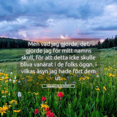 Picture 05 - Hesekiel 20:14 SV1917 - Men vad jag gjorde, det gjorde jag för mitt - Bible Verse Picture