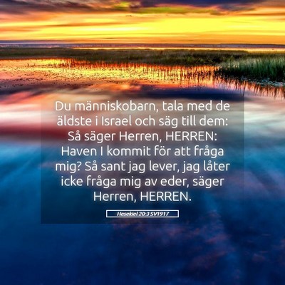 Picture 05 - Hesekiel 20:3 SV1917 - Du människobarn, tala med de äldste i Israel - Bible Verse Picture