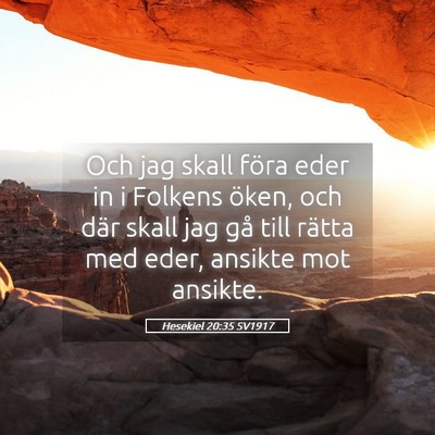 Picture 05 - Hesekiel 20:35 SV1917 - Och jag skall föra eder in i Folkens öken, och - Bible Verse Picture