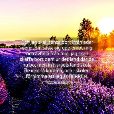 Picture 05 - Hesekiel 20:38 SV1917 - Och jag skall rensa bort ifrån eder dem som - Bible Verse Picture