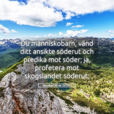 Picture 05 - Hesekiel 20:46 SV1917 - Du människobarn, vänd ditt ansikte söderut och - Bible Verse Picture