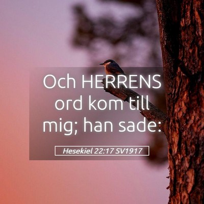 Picture 05 - Hesekiel 22:17 SV1917 - Och HERRENS ord kom till mig; han - Bible Verse Picture