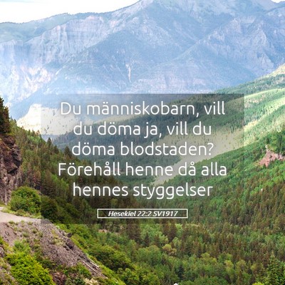 Picture 05 - Hesekiel 22:2 SV1917 - Du människobarn, vill du döma ja, vill du döma - Bible Verse Picture