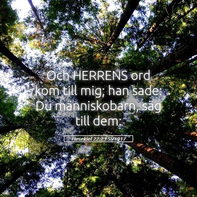Picture 05 - Hesekiel 22:23 SV1917 - Och HERRENS ord kom till mig; han sade: Du - Bible Verse Picture