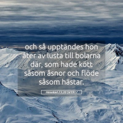 Picture 05 - Hesekiel 23:20 SV1917 - och så upptändes hon åter av lusta till - Bible Verse Picture