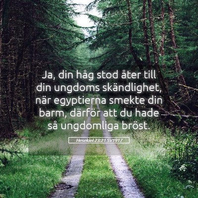 Picture 05 - Hesekiel 23:21 SV1917 - Ja, din håg stod åter till din ungdoms - Bible Verse Picture