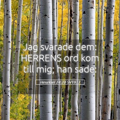 Picture 05 - Hesekiel 24:20 SV1917 - Jag svarade dem: HERRENS ord kom till mig; han - Bible Verse Picture