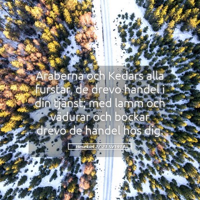 Picture 05 - Hesekiel 27:21 SV1917 - Araberna och Kedars alla furstar, de drevo handel - Bible Verse Picture