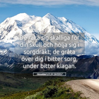 Picture 05 - Hesekiel 27:31 SV1917 - De raka sig skalliga för din skull och hölja - Bible Verse Picture