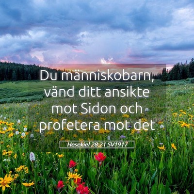 Picture 05 - Hesekiel 28:21 SV1917 - Du människobarn, vänd ditt ansikte mot Sidon - Bible Verse Picture