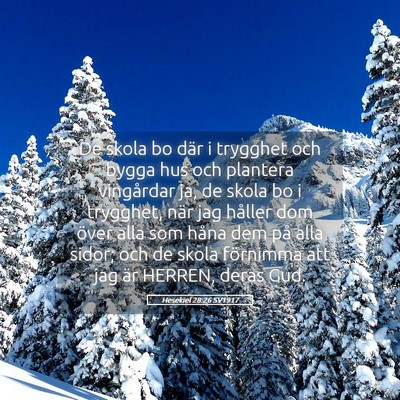 Picture 05 - Hesekiel 28:26 SV1917 - De skola bo där i trygghet och bygga hus och - Bible Verse Picture