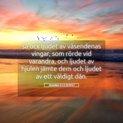 Picture 05 - Hesekiel 3:13 SV1917 - så ock ljudet av väsendenas vingar, som rörde - Bible Verse Picture