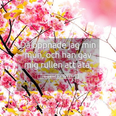 Picture 05 - Hesekiel 3:2 SV1917 - Då öppnade jag min mun, och han gav mig rullen - Bible Verse Picture