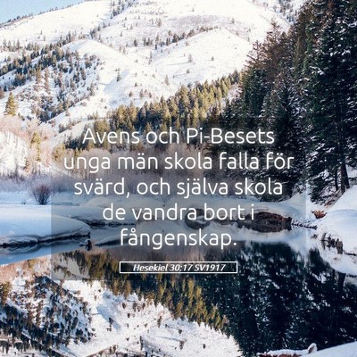 Picture 05 - Hesekiel 30:17 SV1917 - Avens och Pi-Besets unga män skola falla för - Bible Verse Picture