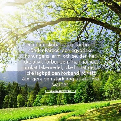 Picture 05 - Hesekiel 30:21 SV1917 - Du människobarn, jag har brutit sönder Faraos, - Bible Verse Picture