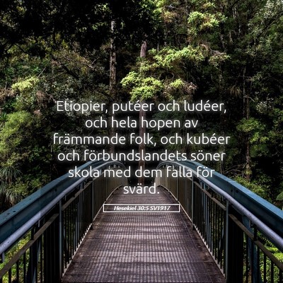 Picture 05 - Hesekiel 30:5 SV1917 - Etiopier, putéer och ludéer, och hela hopen av - Bible Verse Picture