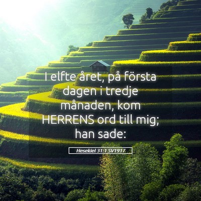 Picture 05 - Hesekiel 31:1 SV1917 - I elfte året, på första dagen i tredje - Bible Verse Picture