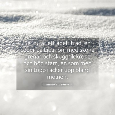 Picture 05 - Hesekiel 31:3 SV1917 - Se, du är ett ädelt träd, en ceder på - Bible Verse Picture