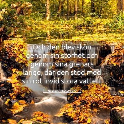 Picture 05 - Hesekiel 31:7 SV1917 - Och den blev skön genom sin storhet och genom - Bible Verse Picture