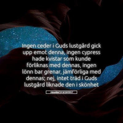 Picture 05 - Hesekiel 31:8 SV1917 - Ingen ceder i Guds lustgård gick upp emot denna, - Bible Verse Picture