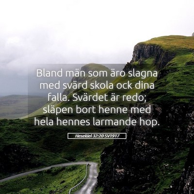 Picture 05 - Hesekiel 32:20 SV1917 - Bland män som äro slagna med svärd skola ock - Bible Verse Picture