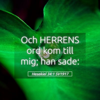 Picture 05 - Hesekiel 34:1 SV1917 - Och HERRENS ord kom till mig; han - Bible Verse Picture